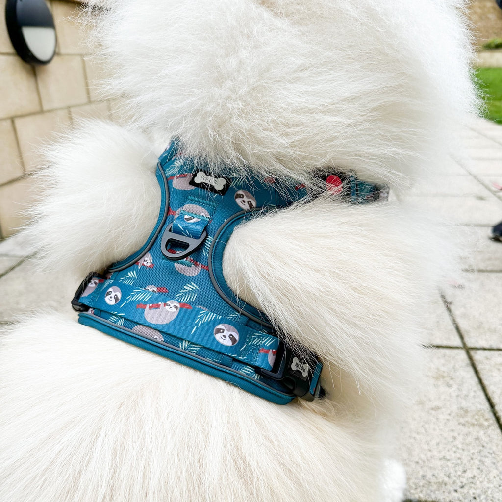 Lazy Sloth Tactical Dog Harness - Pup Chic Boutique