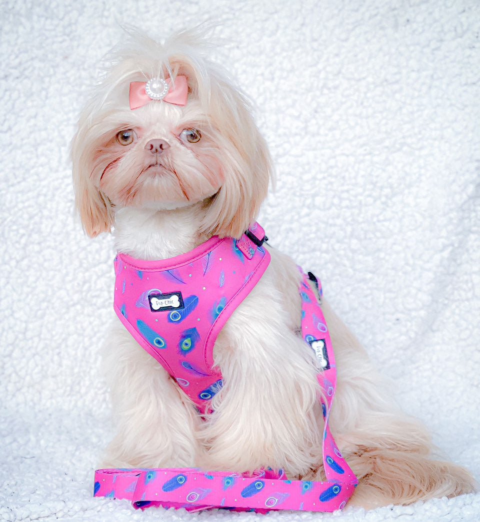 Peacock Power 5ft Dog Lead - Pup Chic Boutique