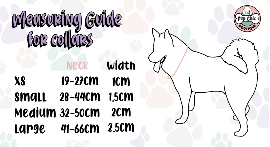 Peacock Power Dog Collar: Stylish, Durable, and Comfortable for Your Dog - Pup Chic Boutique