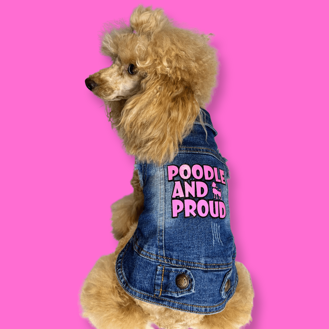 Personalised dog denim jacket - blue - Pup Chic Boutique