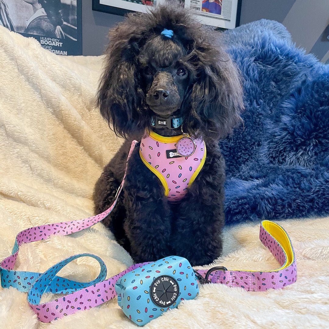 Sprinkles for Days 5ft dog lead - Pup Chic Boutique