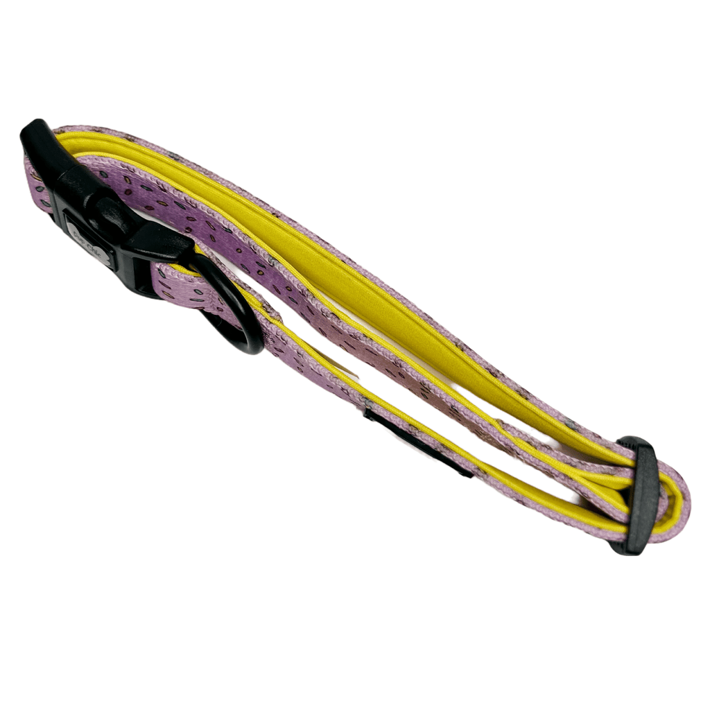 Sprinkles For Days Collar - pink or blue sprinkles dog collar - Pup Chic Boutique