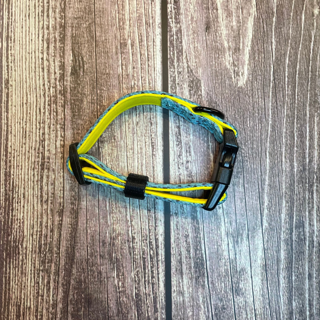 Sprinkles For Days Collar - pink or blue sprinkles dog collar - Pup Chic Boutique