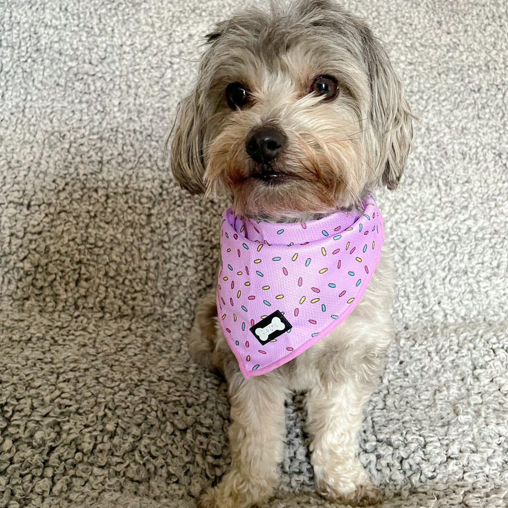 Sprinkles For Days Cooling Bandana - Pink - Pup Chic Boutique