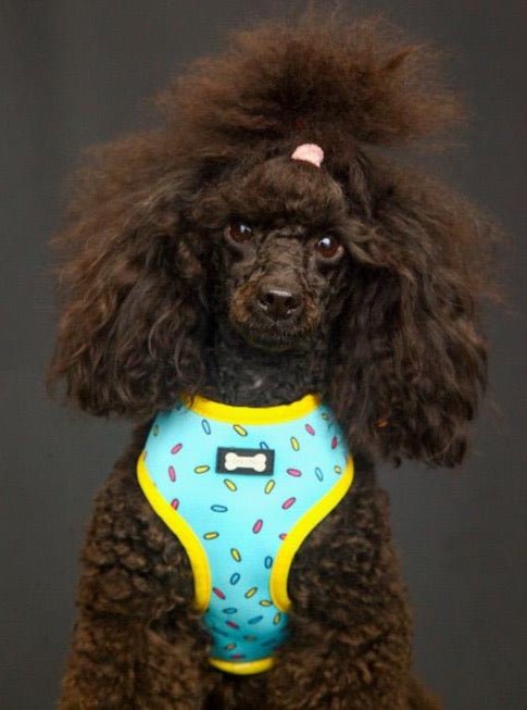 Sprinkles for Days reversible harness - Pup Chic Boutique