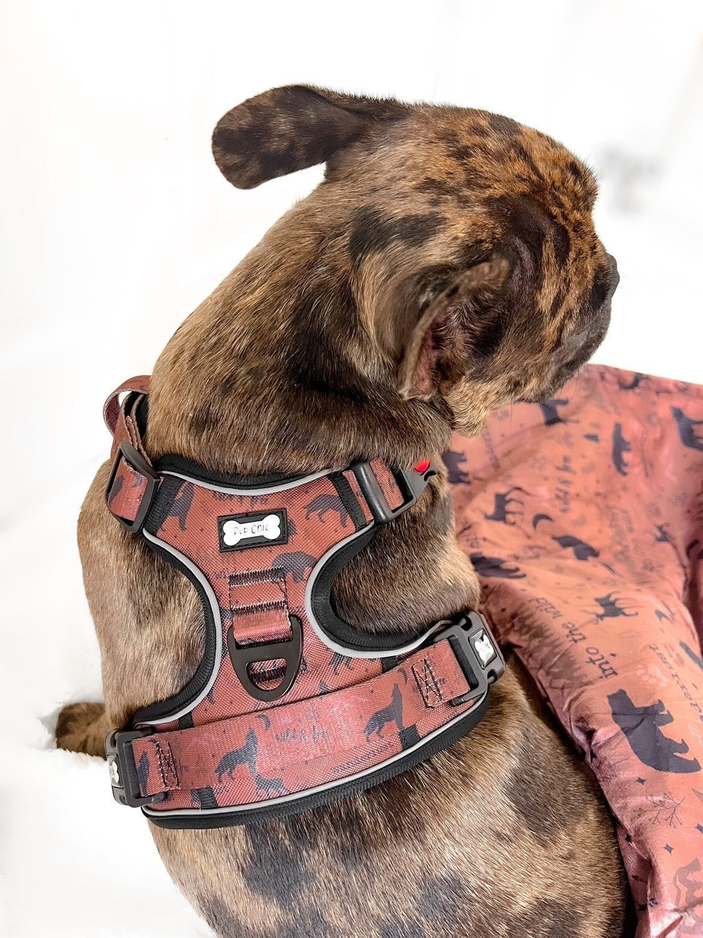 Wanderlust Tuff Stuff harness - no pull harness with handle - Pup Chic Boutique
